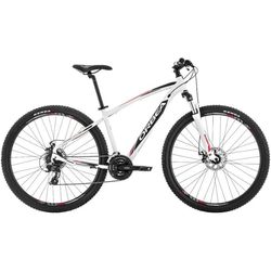 ORBEA Sport 29 10 2014