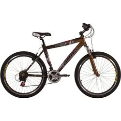 Ardis South MTB 24