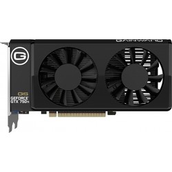 Gainward GeForce GTX 750 Ti 4260183363071