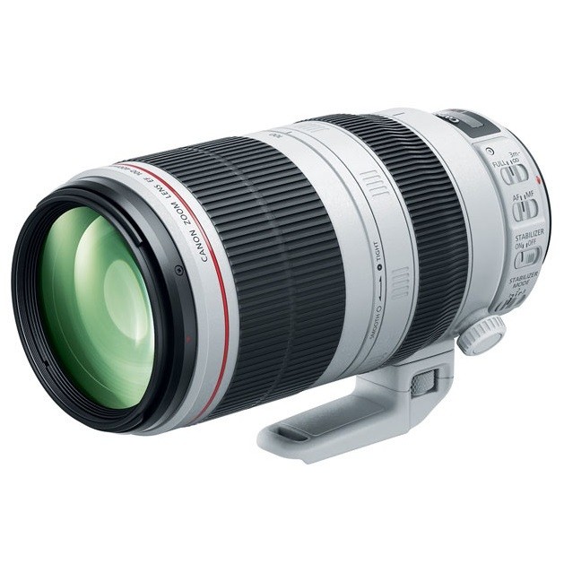Canon EF 100-400mm f/4.5-5.6L II USM