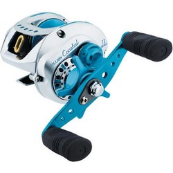 Daiwa TD Zillion Coastal 100HSA