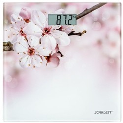 Scarlett SC-BS33E001