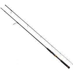 Daiwa Morethan AGS 109MML