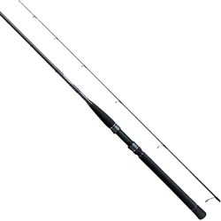 Daiwa Morethan Branzino AGS 69MFS-AR