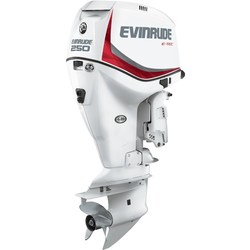 Evinrude E250DCX