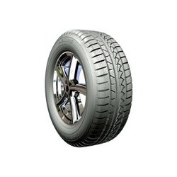 Petlas SnowMaster W651 215/50 R17 91H