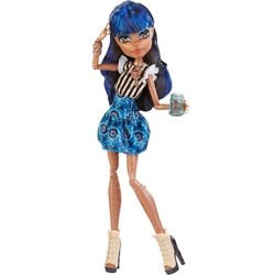 Monster High Coffin Bean Robecca Steam CBX48