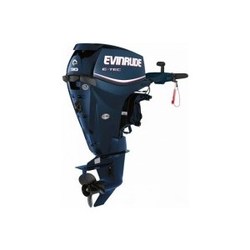 Evinrude E30DTSL