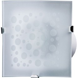 Blauberg Glory (150-3)