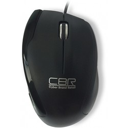 CBR CM-307