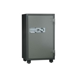 Safeguard DS 110