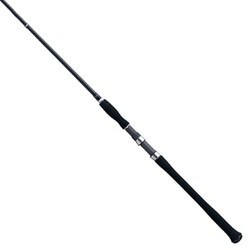 Shimano Ocea AR-C S806HBT