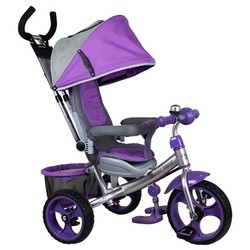 Smart-Trike Y087