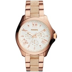 FOSSIL AM4622