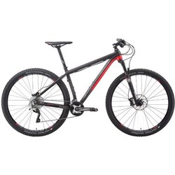 Silverback Sola 1 2015