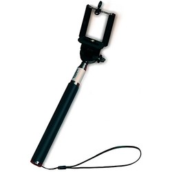 Tesler T-Selfer T1