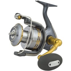 Shimano Twin Power SW-A 8000PG