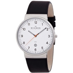 Skagen SKW6024