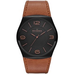 Skagen SKW6040