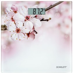 Scarlett SC-BS33E053