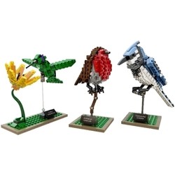 Lego Birds 21301