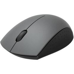 Rapoo Wireless Optical Mini Mouse 3360 (серый)