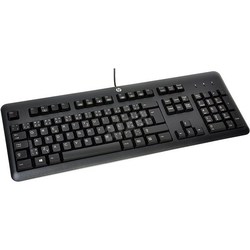 HP USB Keyboard for PC