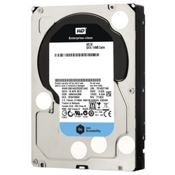 WD WD6001F9YZ