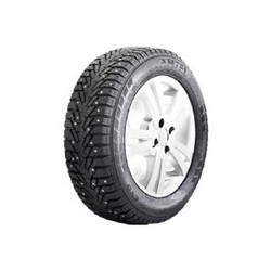 Amtel NordMaster Evo