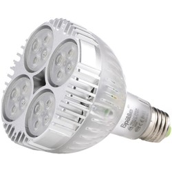 Brille LED E27 35W CW PAR38 (32-077)