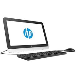 HP for home 22 All-in-One (22-3003UR)