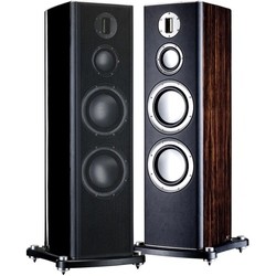 Monitor Audio Platinum PL300