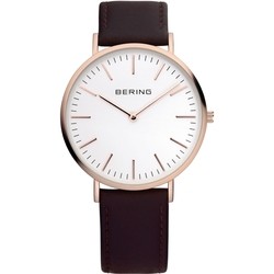 BERING 13738-564