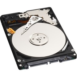 Seagate ST91603110CS