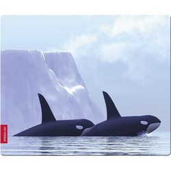 Speed-Link Orca