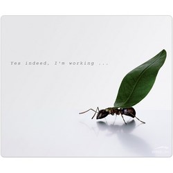 Speed-Link Working Ants