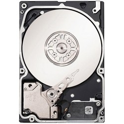 Seagate ST9300653SS