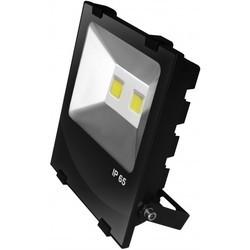 EUROELECTRIC LED-FLR-COB-100