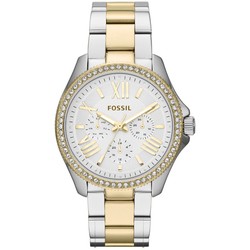 FOSSIL AM4543