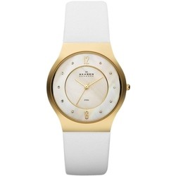 Skagen SKW2027