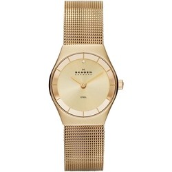 Skagen SKW2045