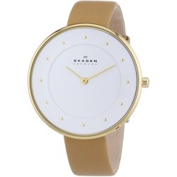 Skagen SKW2137