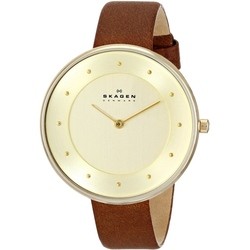 Skagen SKW2138