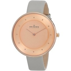 Skagen SKW2139