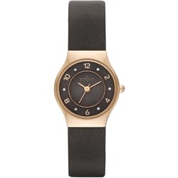 Skagen SKW2208