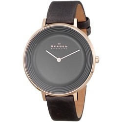 Skagen SKW2216