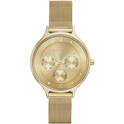 Skagen SKW2313