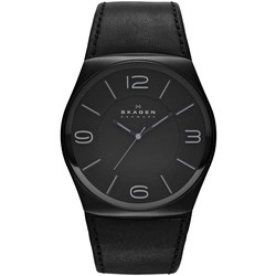 Skagen SKW6043