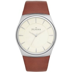 Skagen SKW6084