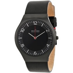 Skagen SKW6113